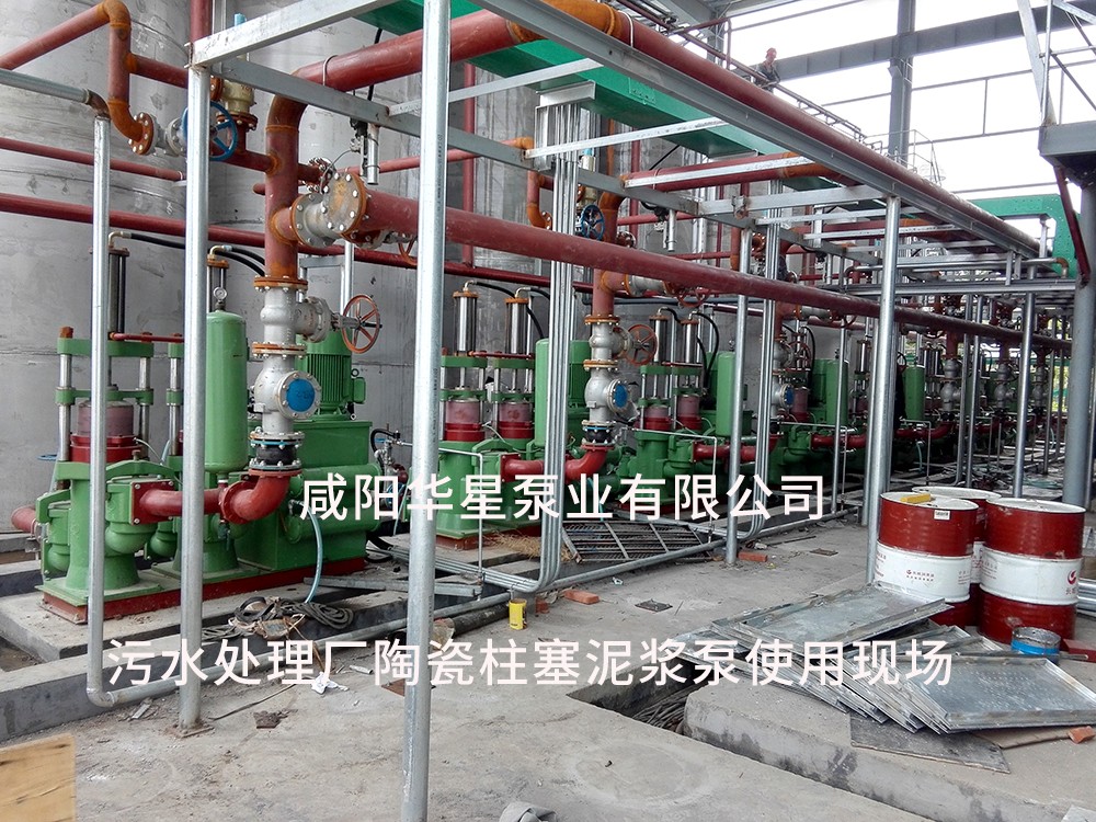 污水處理廠咸陽(yáng)柱塞泵使用現(xiàn)場(chǎng)