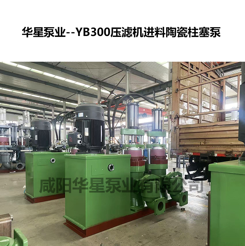 YB300壓濾機(jī)進(jìn)料陶瓷柱塞泵-03