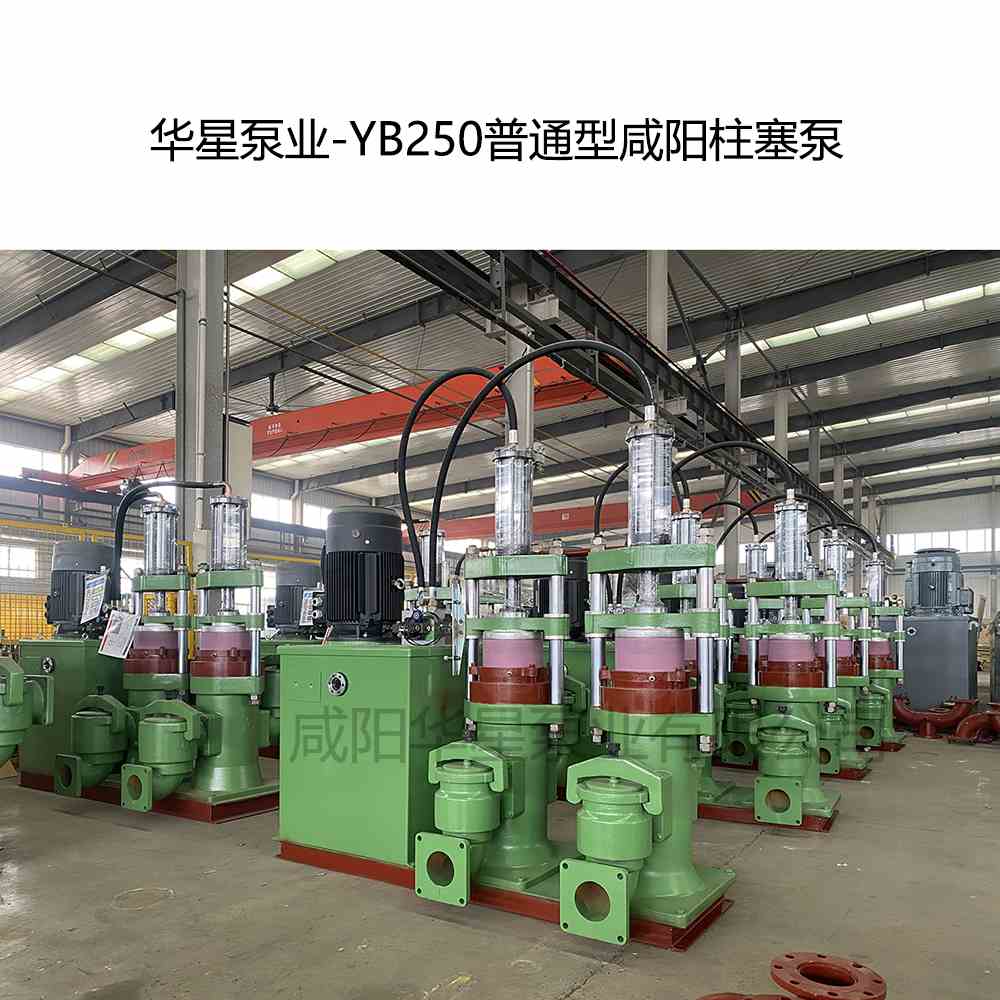 華星泵業(yè)-YB250普通型咸陽(yáng)柱塞泵