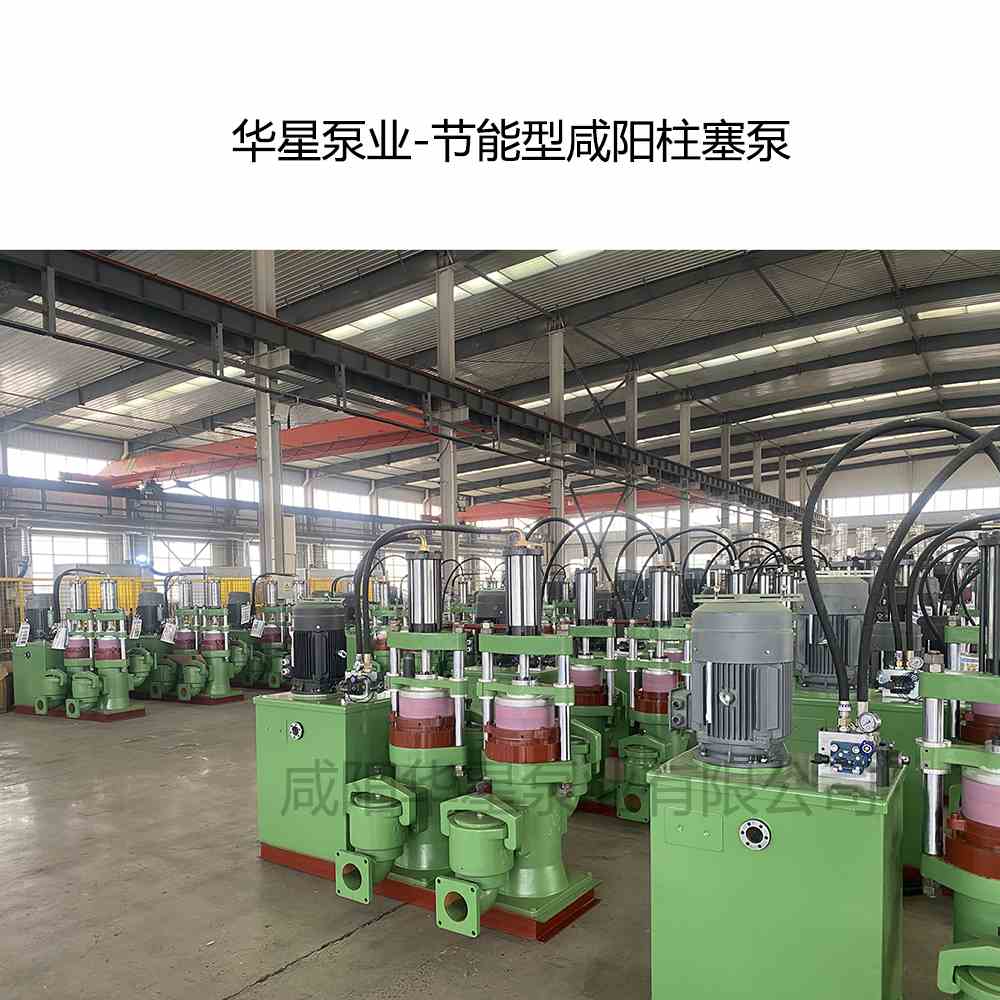 華星泵業(yè)-節(jié)能型咸陽柱塞泵