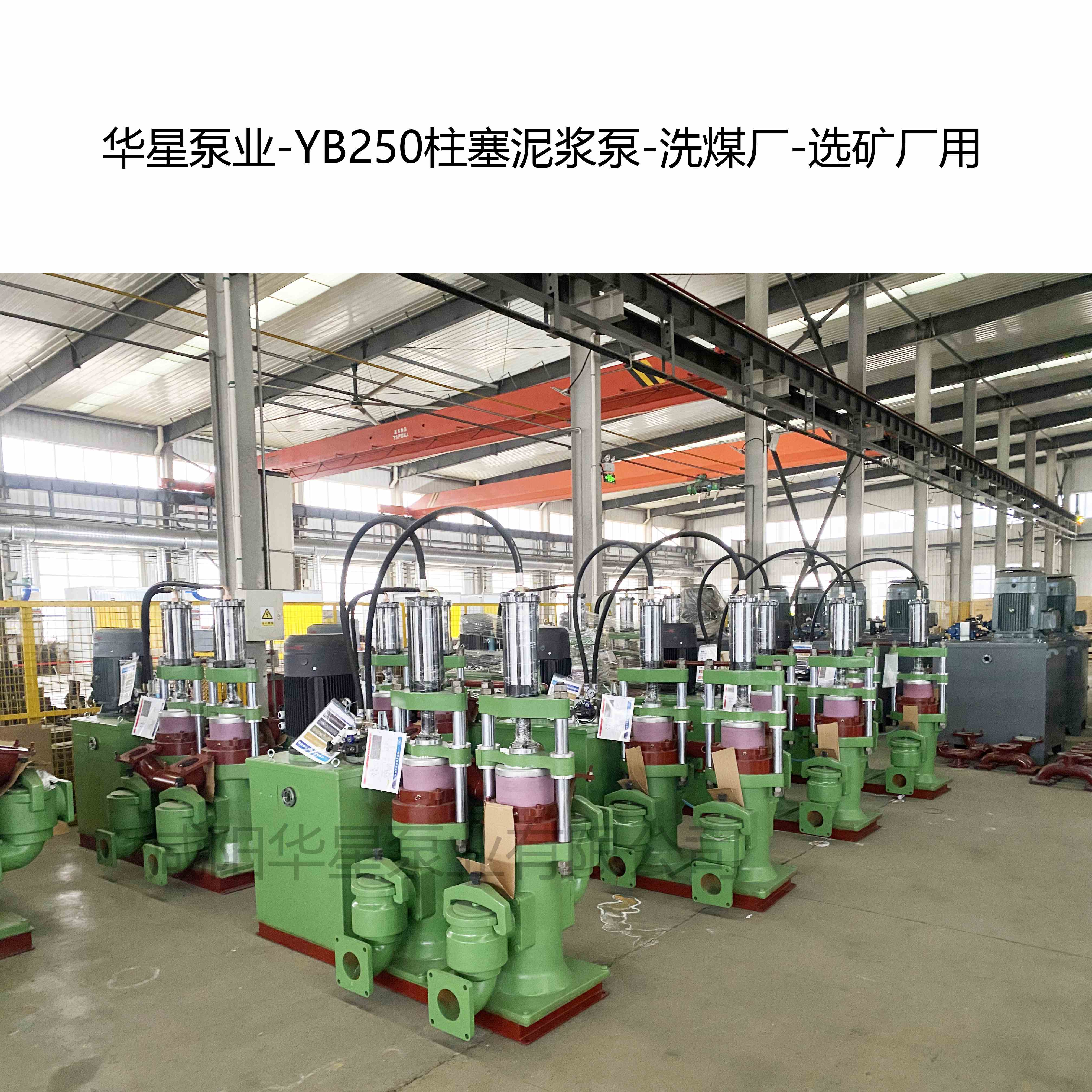 華星泵業(yè)-YB250柱塞泥漿泵-洗煤廠-選礦廠用